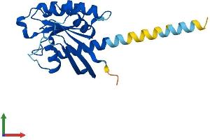 AlphaFold protein structure predicition of Human Recombinant RERG Protein, UniprotID Q96A58