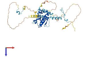 AlphaFold protein structure predicition of Mouse Recombinant Cep41 Protein, UniprotID Q99NF3