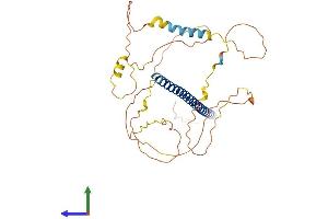 AlphaFold protein structure predicition of Human Recombinant JUNB Protein, UniprotID P17275