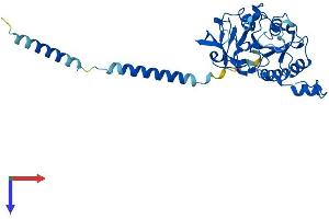 AlphaFold protein structure predicition of Human Recombinant B3GAT3 Protein, UniprotID O94766