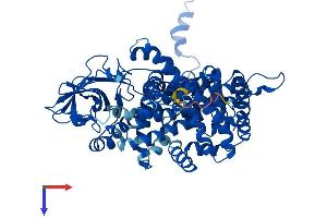 AlphaFold protein structure predicition of Mouse Recombinant Acox1 Protein, UniprotID Q9R0H0