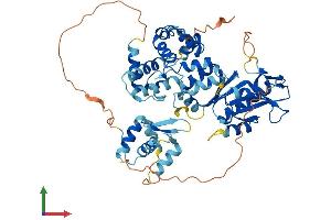 AlphaFold protein structure predicition of Human Recombinant MUS81 Protein, UniprotID Q96NY9