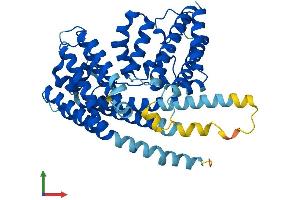 AlphaFold protein structure predicition of Human Recombinant PORCN Protein, UniprotID Q9H237