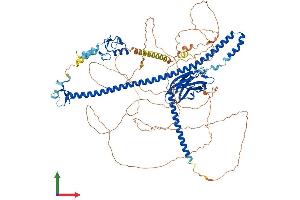AlphaFold protein structure predicition of Human Recombinant TRIM37 Protein, UniprotID O94972