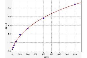 Placenta Growth Factor (PGF) ELISA Kit