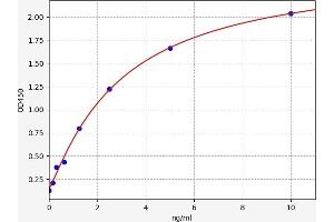 Typical standard curve (KIFC1 Kit ELISA)