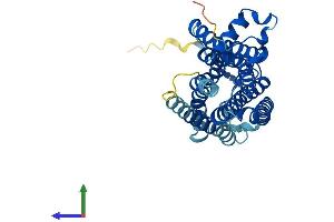 AlphaFold protein structure predicition of Mouse Recombinant Taar9 Protein, UniprotID Q5QD04