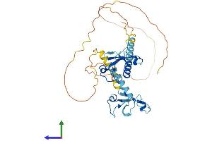 AlphaFold protein structure predicition of Mouse Recombinant Mbnl1 Protein, UniprotID Q9JKP5