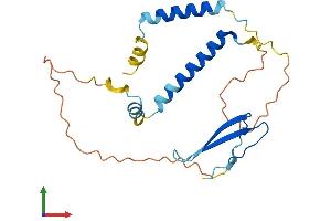AlphaFold protein structure predicition of Mouse Recombinant Akip1 Protein, UniprotID Q9JJR5