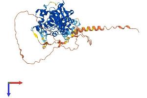 AlphaFold protein structure predicition of Human Recombinant AMZ1 Protein, UniprotID Q400G9