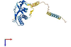 AlphaFold protein structure predicition of Human Recombinant RTP2 Protein, UniprotID Q5QGT7
