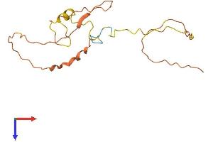 AlphaFold protein structure predicition of Human Recombinant C16orf95 Protein, UniprotID Q9H693