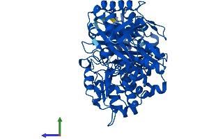 AlphaFold protein structure predicition of Human Recombinant PGM1 Protein, UniprotID P36871