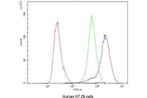 Flow cytometry testing of human HT-29 cells with CA2 antibody at 1ug/10^6 cells (blocked with goat sera) (CA2 anticorps)