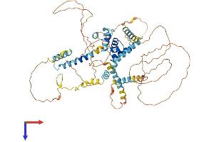 AlphaFold protein structure predicition of Human Recombinant LCORL Protein, UniprotID Q8N3X6