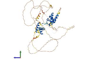 AlphaFold protein structure predicition of Human Recombinant POU2F2 Protein, UniprotID P09086