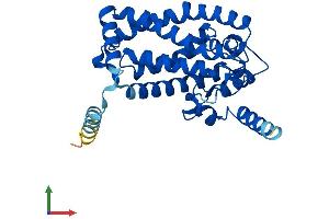 AlphaFold protein structure predicition of Human Recombinant MSMO1 Protein, UniprotID Q15800