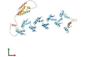 AlphaFold protein structure predicition of Human Recombinant ZNF224 Protein, UniprotID Q9NZL3