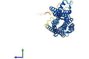 AlphaFold protein structure predicition of Mouse Recombinant Taar6 Protein, UniprotID Q5QD13