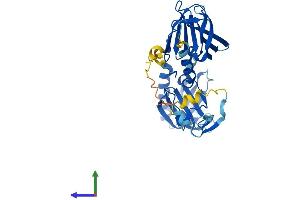AlphaFold protein structure predicition of Mouse Recombinant Bbs5 Protein, UniprotID Q9CZQ9