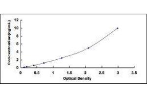 Inhibitory Subunit Of NF kappa B alpha ELISA Kit