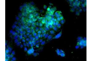 Image provided by One World Lab validation program.