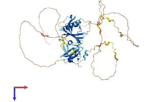 AlphaFold protein structure predicition of Mouse Recombinant Shc1 Protein, UniprotID P98083