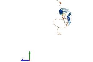 AlphaFold protein structure predicition of Human Recombinant RILP Protein, UniprotID Q96NA2