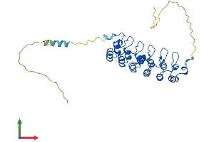 AlphaFold protein structure predicition of Human Recombinant NFKBIA Protein, UniprotID P25963