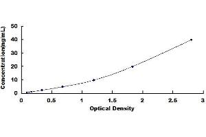 Typical standard curve (TLR4 Kit ELISA)