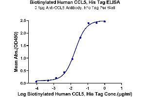 Immobilized Anti-CCL5 Antibody, hFc Tag at 1 μg/mL (100 μL/well) on the plate.