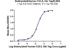 Immobilized Anti-CCL5 Antibody, hFc Tag at 1 μg/mL (100 μL/well) on the plate. (CCL5 Protein (AA 24-91) (His-Avi Tag,Biotin))