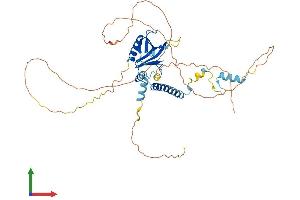 AlphaFold protein structure predicition of Human Recombinant IPCEF1 Protein, UniprotID Q8WWN9