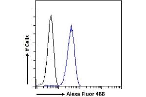 (ABIN185463) Flow cytometric analysis of paraformaldehyde fixed HeLa cells (blue line), permeabilized with 0. (HRH2 anticorps  (C-Term))
