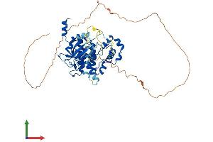AlphaFold protein structure predicition of Human Recombinant CDK19 Protein, UniprotID Q9BWU1