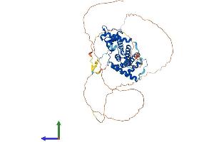 AlphaFold protein structure predicition of Mouse Recombinant Ccnl2 Protein, UniprotID Q9JJA7