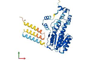 AlphaFold protein structure predicition of Mouse Recombinant Hsd17b2 Protein, UniprotID P51658