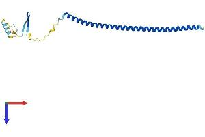 AlphaFold protein structure predicition of Human Recombinant STMN3 Protein, UniprotID Q9NZ72