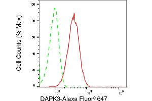 Flow cytometric analysis of DAPK3 expression in HepG2 cells using DAPK3 antibody (ABIN7798296), 1:2,000). (Recombinant DAPK3 anticorps)