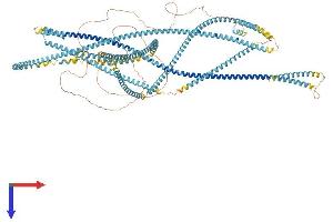 AlphaFold protein structure predicition of Human Recombinant KTN1 Protein, UniprotID Q86UP2
