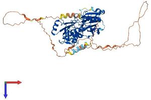 AlphaFold protein structure predicition of Mouse Recombinant Dclre1b Protein, UniprotID Q8C7W7