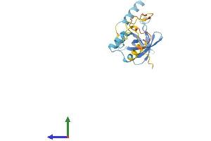 AlphaFold protein structure predicition of Mouse Recombinant Eif1ad Protein, UniprotID Q3THJ3