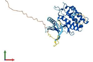 AlphaFold protein structure predicition of Human Recombinant PBK Protein, UniprotID Q96KB5