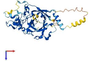 AlphaFold protein structure predicition of Human Recombinant PDCD2 Protein, UniprotID Q16342