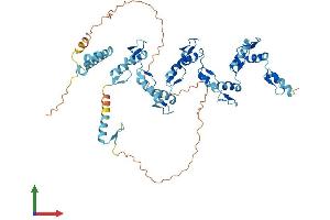 AlphaFold protein structure predicition of Human Recombinant ZNF454 Protein, UniprotID Q8N9F8