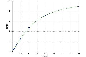 Secretogranin II (SCG2) ELISA Kit