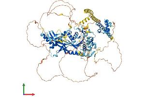 AlphaFold protein structure predicition of Mouse Recombinant Sec23ip Protein, UniprotID Q6NZC7