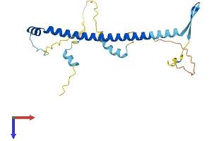 AlphaFold protein structure predicition of Human Recombinant NOL12 Protein, UniprotID Q9UGY1