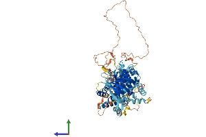 AlphaFold protein structure predicition of Human Recombinant PIK3R6 Protein, UniprotID Q5UE93