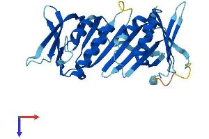 AlphaFold protein structure predicition of Human Recombinant HUS1 Protein, UniprotID O60921
